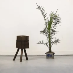 Ancien bloc de découpe en chêne primitif Wabi Sabi