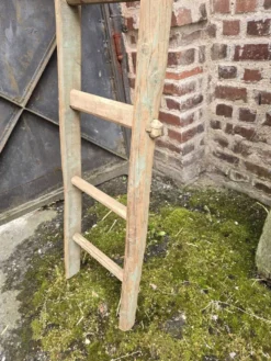 Ancien échelle en tronc d'arbre