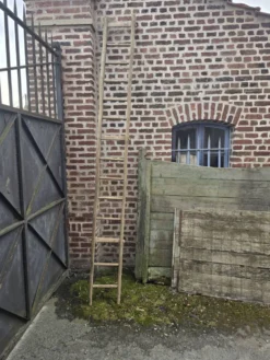 Ancien échelle en tronc d'arbre
