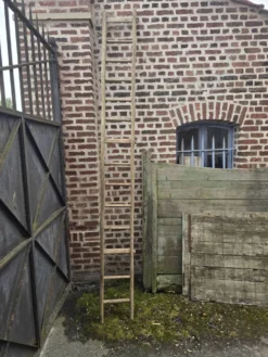 Ancien échelle en tronc d'arbre