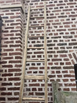 Ancien échelle en tronc d'arbre