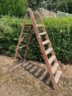 Ancien Escabeau de peintre en chêne
