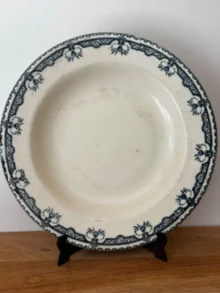 Ancienne assiette creuse Terre de Fer Salins Parmentier