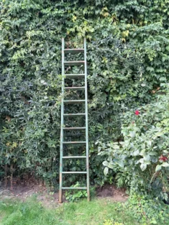 Ancienne échelle de meunier en bois