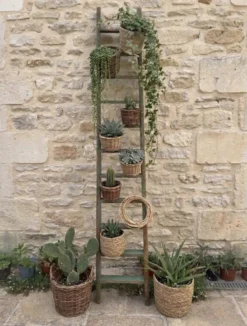 Ancienne échelle de meunier en bois