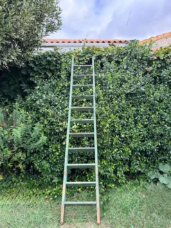 Ancienne échelle de meunier en bois