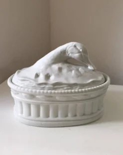 Ancienne Terrine porcelaine canard oie