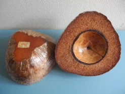 ancien seau glaçons noix coco Nocodaf Abidjan déco vintage ice bucket 70s