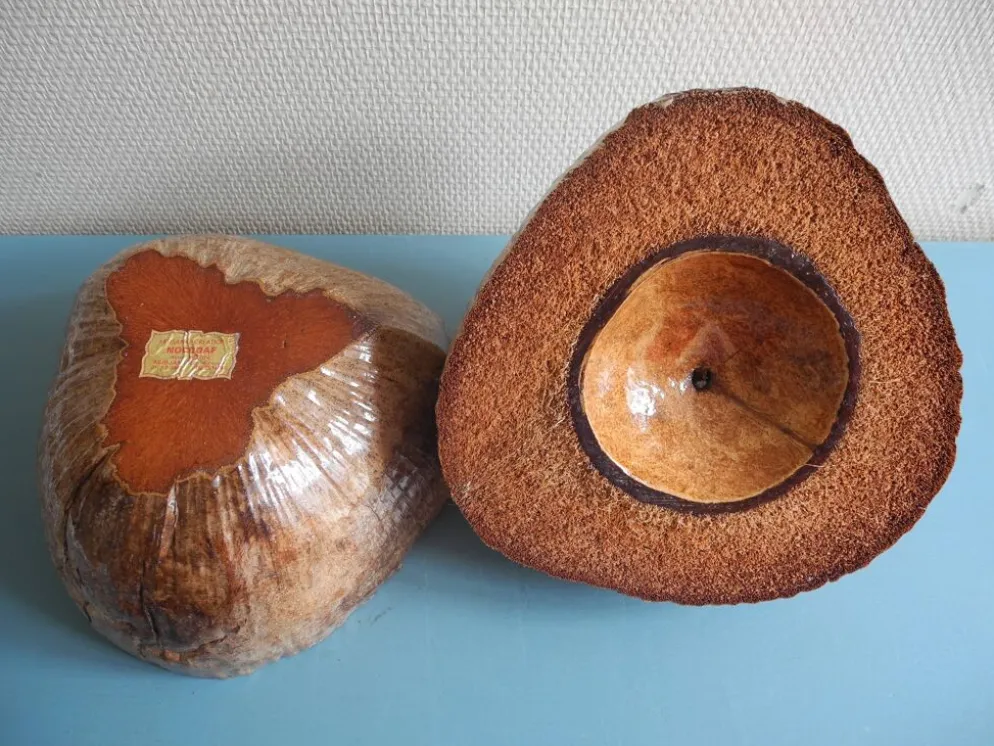ancien seau glaçons noix coco Nocodaf Abidjan déco vintage ice bucket 70s