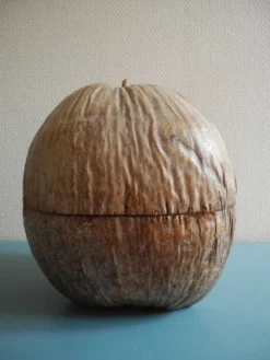 ancien seau glaçons noix coco Nocodaf Abidjan déco vintage ice bucket 70s