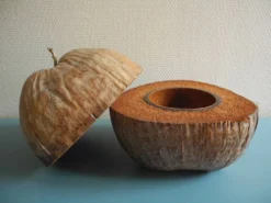 ancien seau glaçons noix coco Nocodaf Abidjan déco vintage ice bucket 70s