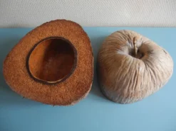 ancien seau glaçons noix coco Nocodaf Abidjan déco vintage ice bucket 70s