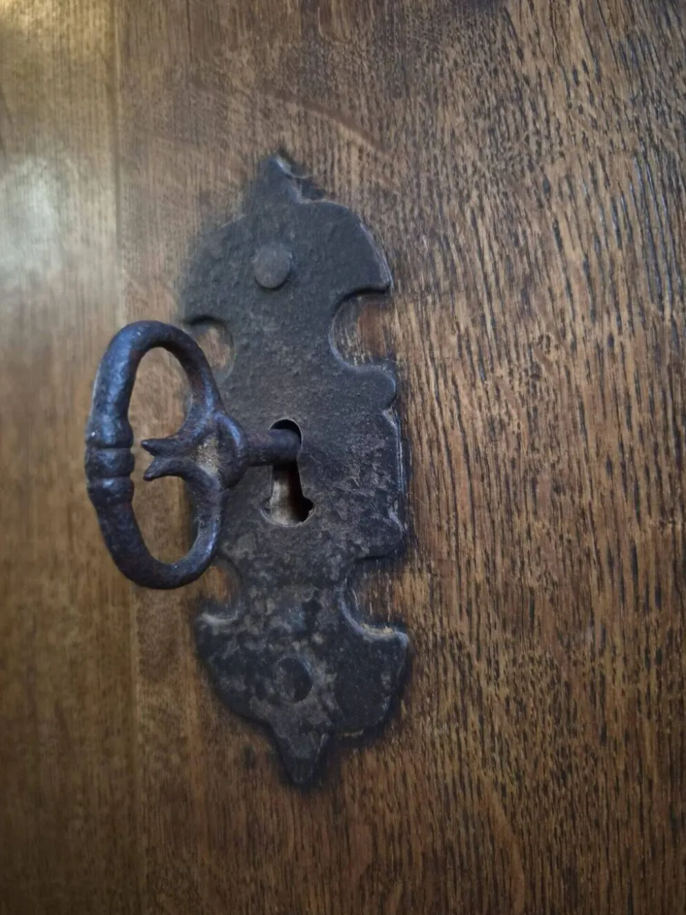 Armoire ancienne française en chêne à une porte, XVIIIe siècle