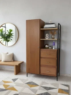 Armoire Combinée Moderniste - Années 50/60