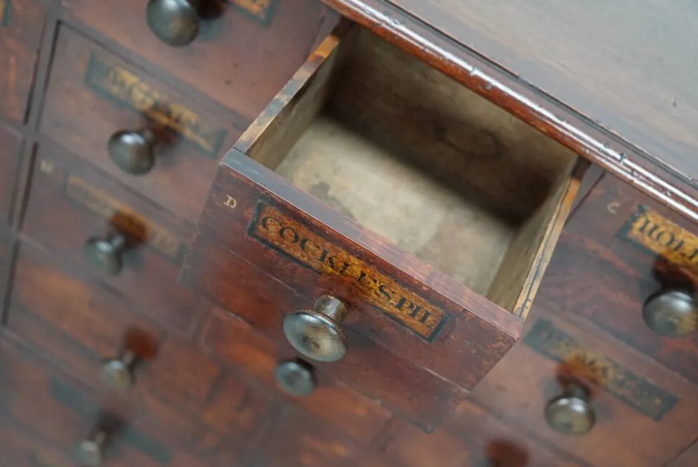 Armoire d'apothicaire / commode à tiroirs en bois dur antique, Angleterre, XIXe siècle