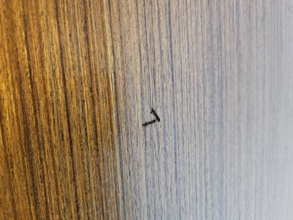 Armoire vintage des années 1960 à deux portes