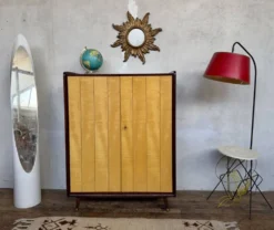 Armoire vintage deux portes pieds compas bi couleur
