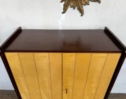 Armoire vintage deux portes pieds compas bi couleur