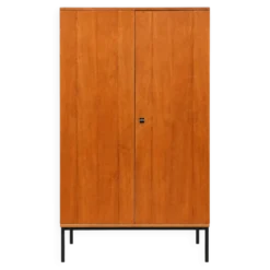 Armoire vintage à 2 portes en bois