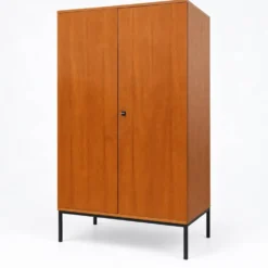 Armoire vintage à 2 portes en bois