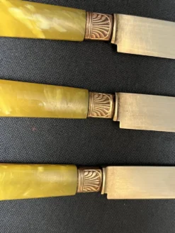 Arts de la table, écrin 12 couteaux à fruit vermeil et galalithe début XXXè