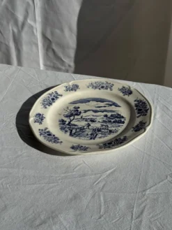 Assiette ancienne en faïence à décor de paysage bleu D24,5