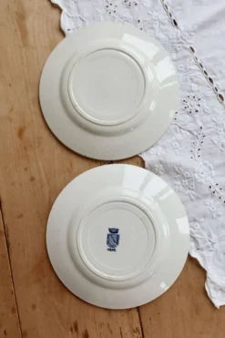 Assiette creuse ancienne terre de fer Saint Amand modèle Jane