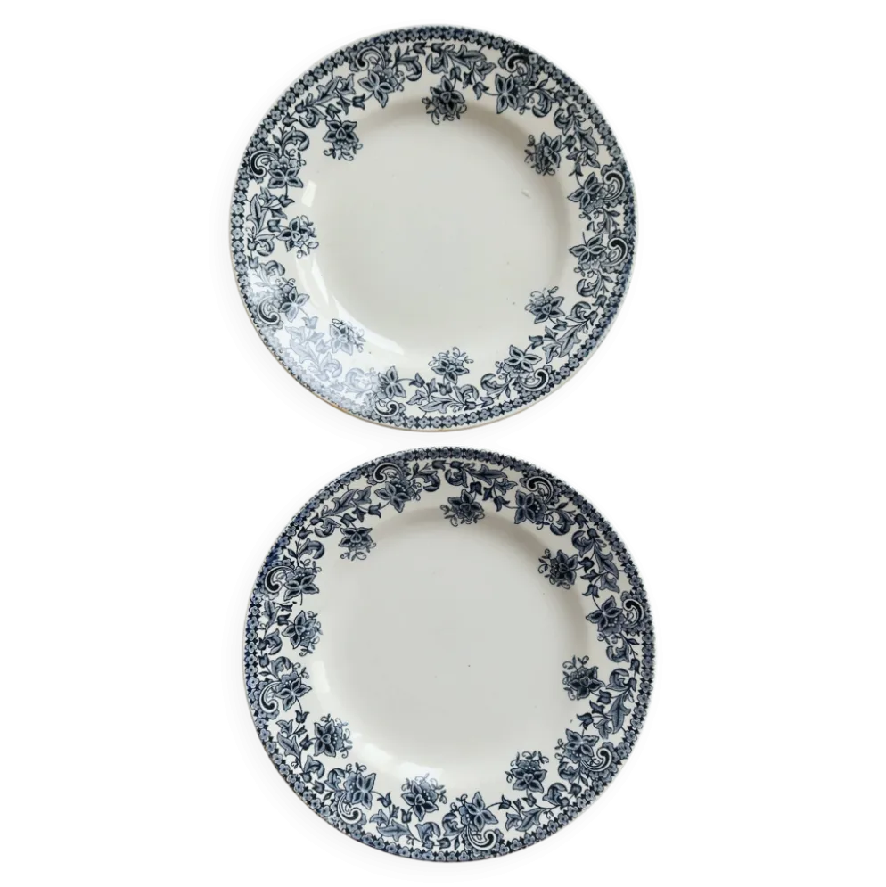 Assiette creuse ancienne terre de fer Saint Amand modèle Jane