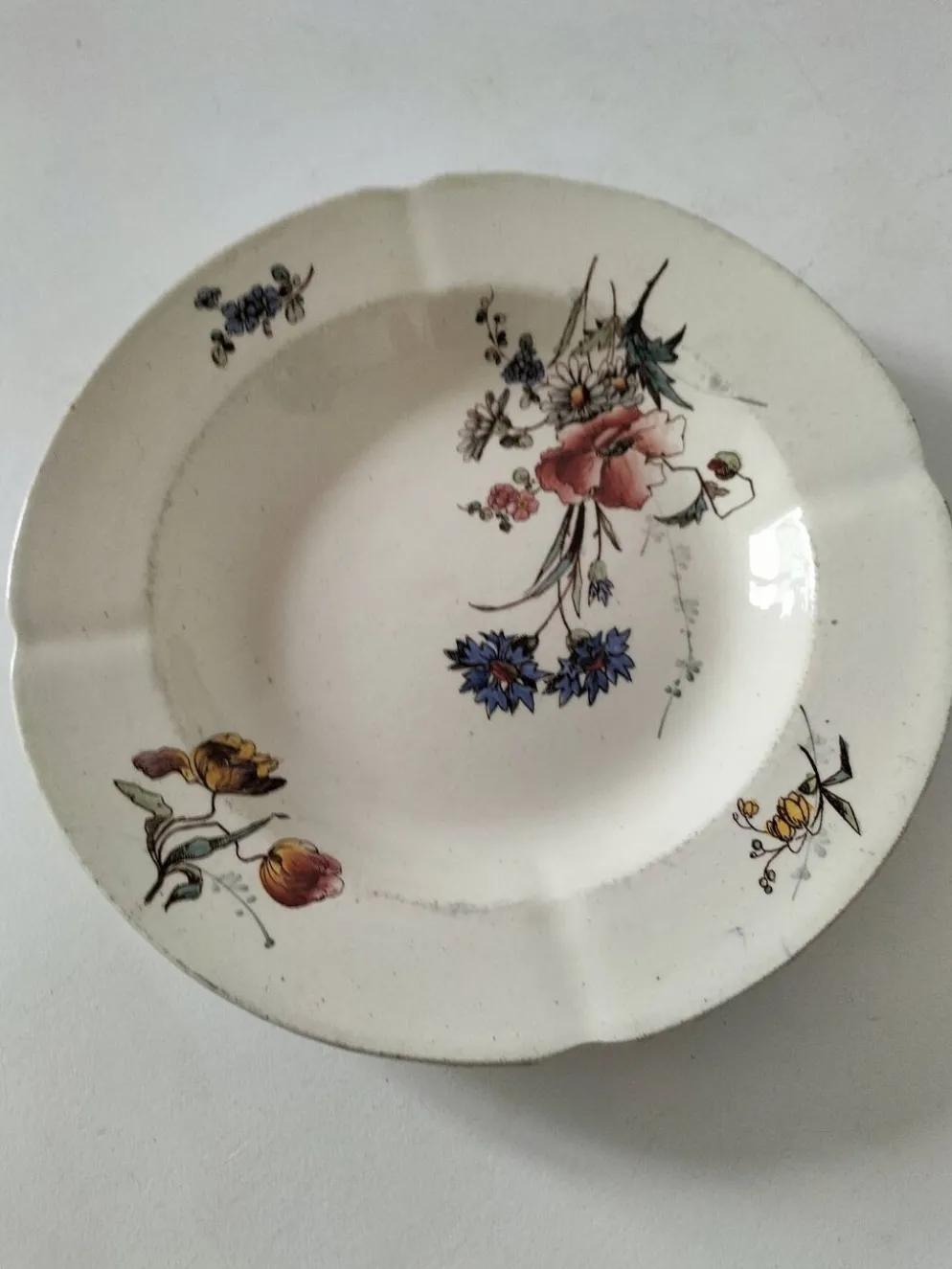 Assiette creuse Terre de Fer HB & Cie décor fleurs des champs 1900-1910