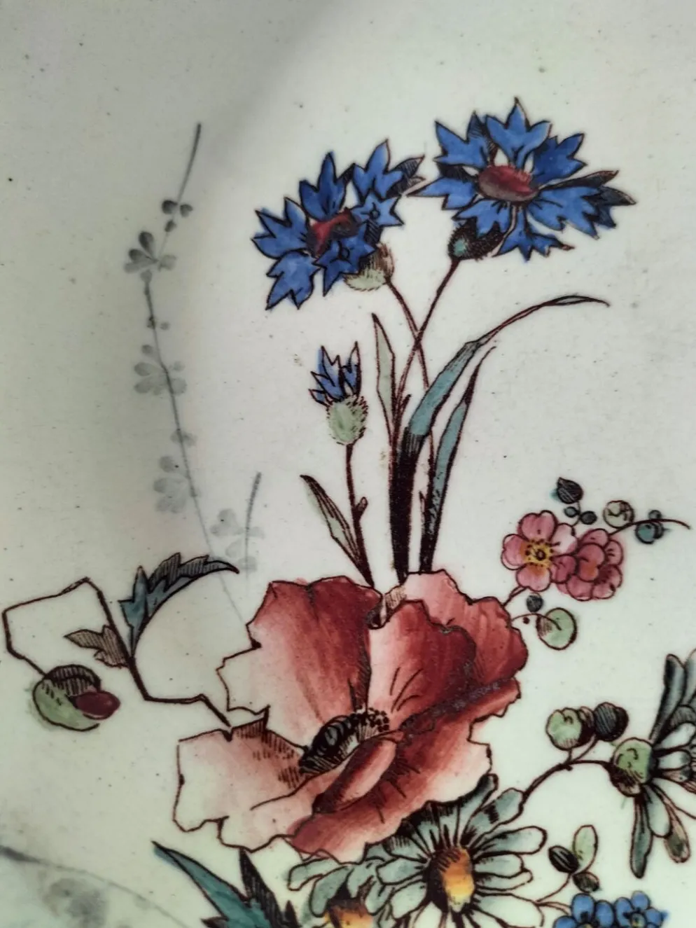 Assiette creuse Terre de Fer HB & Cie décor fleurs des champs 1900-1910