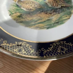 Assiette décorative Weatherby Royal Falcon Ware de 1972