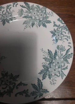 Assiette en faïence terre de fer Saint Amand décor anémone