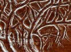 Assiette à gâteau en verre design arbre des quatre saisons vintage de Riedel Glas, années 1970