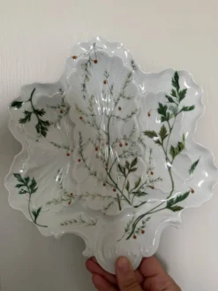 Assiette à huîtres en porcelaine de Limoges BH, décor botanique art nouveau