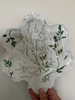 Assiette à huîtres en porcelaine de Limoges BH, décor botanique art nouveau
