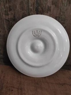 Assiette à huîtres vintage française en majolique blanche et verte