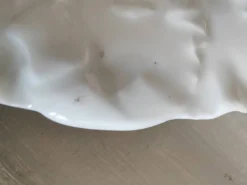 Assiette à huîtres XIXe porcelaine Haviland & Co Limoges France