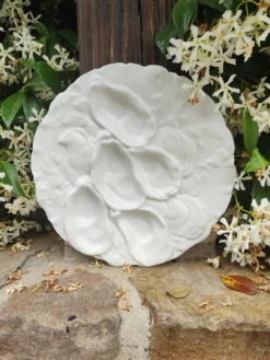 Assiette à huîtres XIXe porcelaine Haviland & Co Limoges France