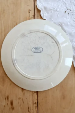Assiette plate ancienne terre de fer Sarreguemines U&C modèle Mignon