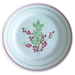 1 assiette plate rouge et verte 221238