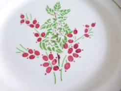1 assiette plate rouge et verte 221238