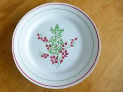 1 assiette plate rouge et verte 221238