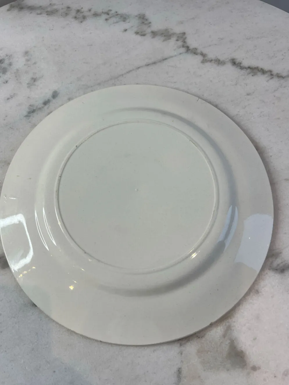 Assiette plate Salins décor bleues 24,5cm