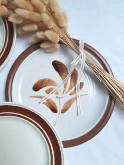 Assiette plates à fleurs marron années 1970