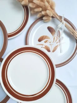 Assiette plates à fleurs marron années 1970