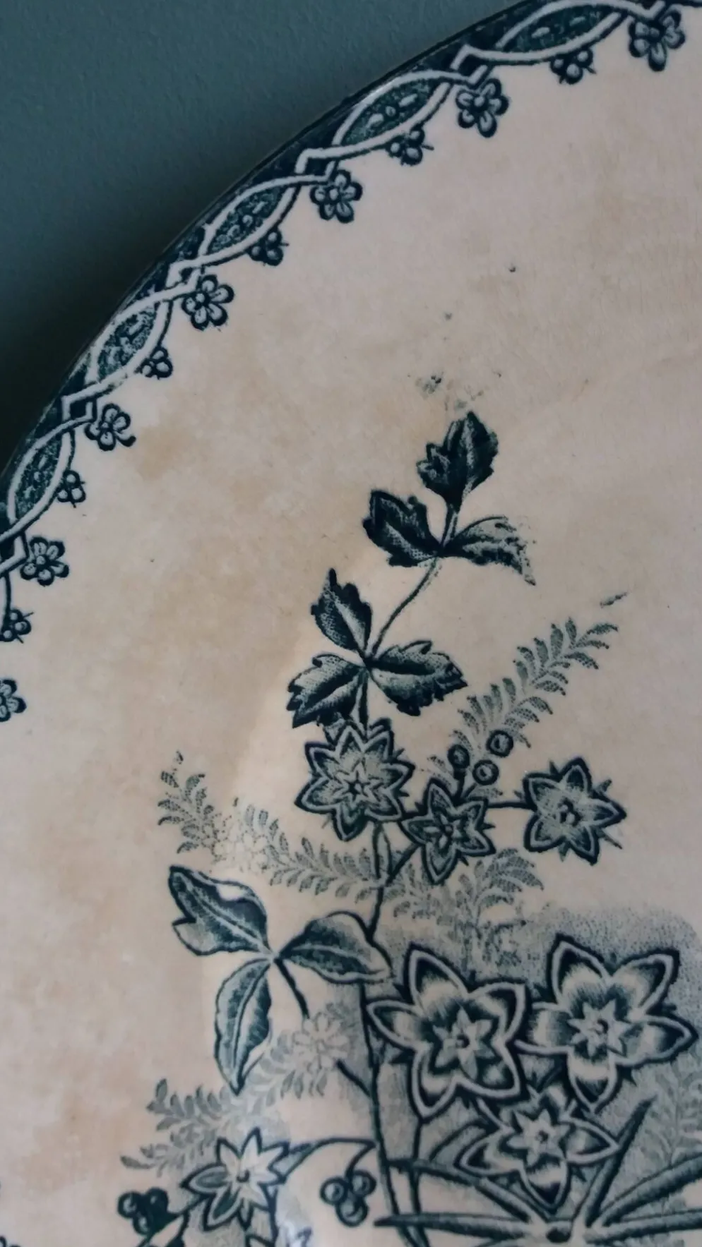 Assiette plate terre de fer Saint Amand décor Margot Sté amandinoise 1920