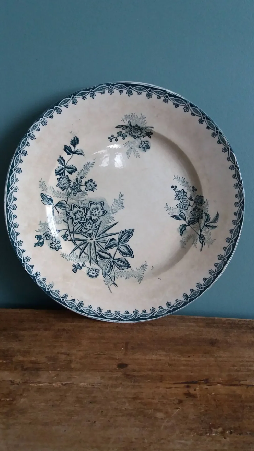 Assiette plate terre de fer Saint Amand décor Margot Sté amandinoise 1920
