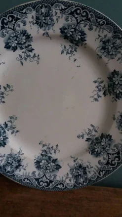 Assiette plate terre de fer Saint-Amand et Hamage décor Printanier