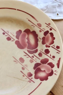 Assiette plate vintage terre de fer Saint-Amand modèle 211