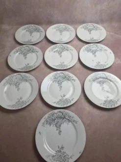 10 assiettes anciennes en porcelaine – Aux Lions de Faïence Paris – Xixe